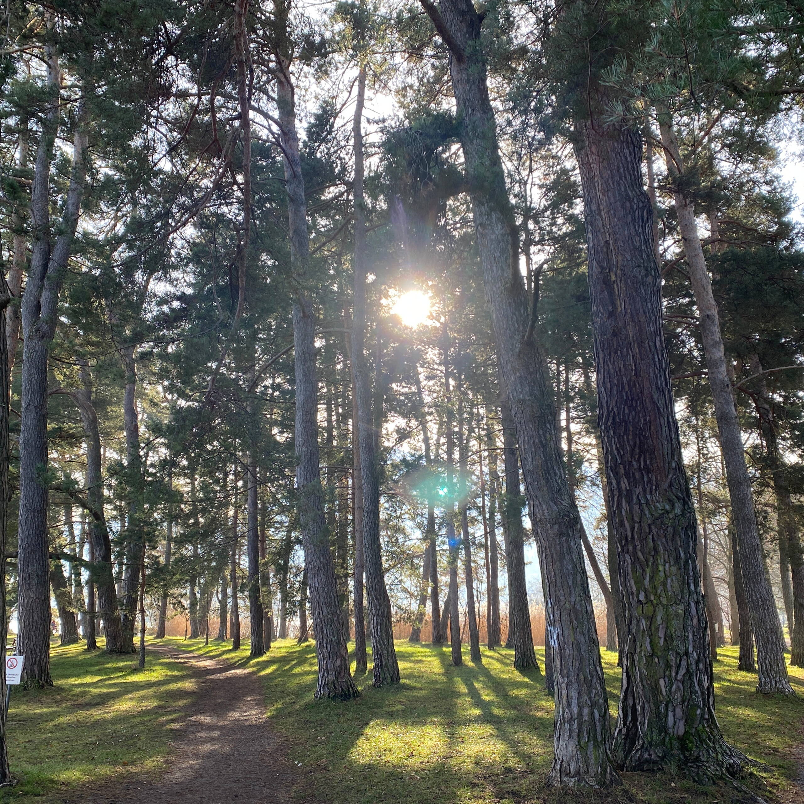 Retreat mit Regina Witschi