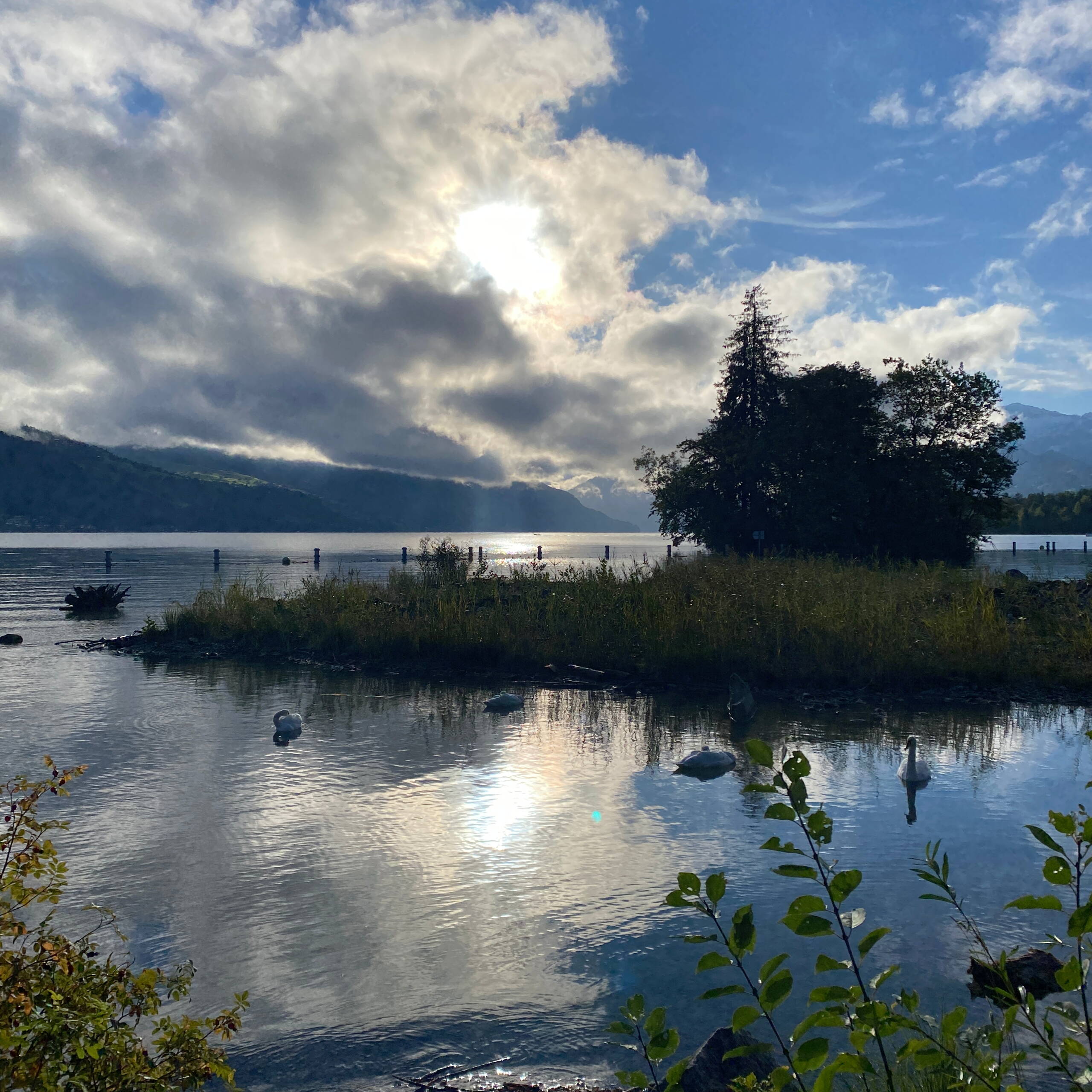 Retreat  mit Regina Witschi